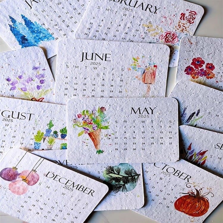 ✨New Arrivals🌱Eco-Friendly Plantable Love Seed Calendar 2026