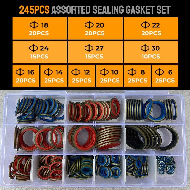 Cilifer®100pcs/ 245pcs Assorted Sealing Gasket Set