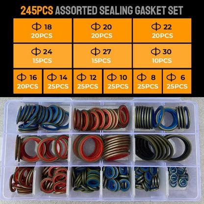 Cilifer®100pcs/ 245pcs Assorted Sealing Gasket Set