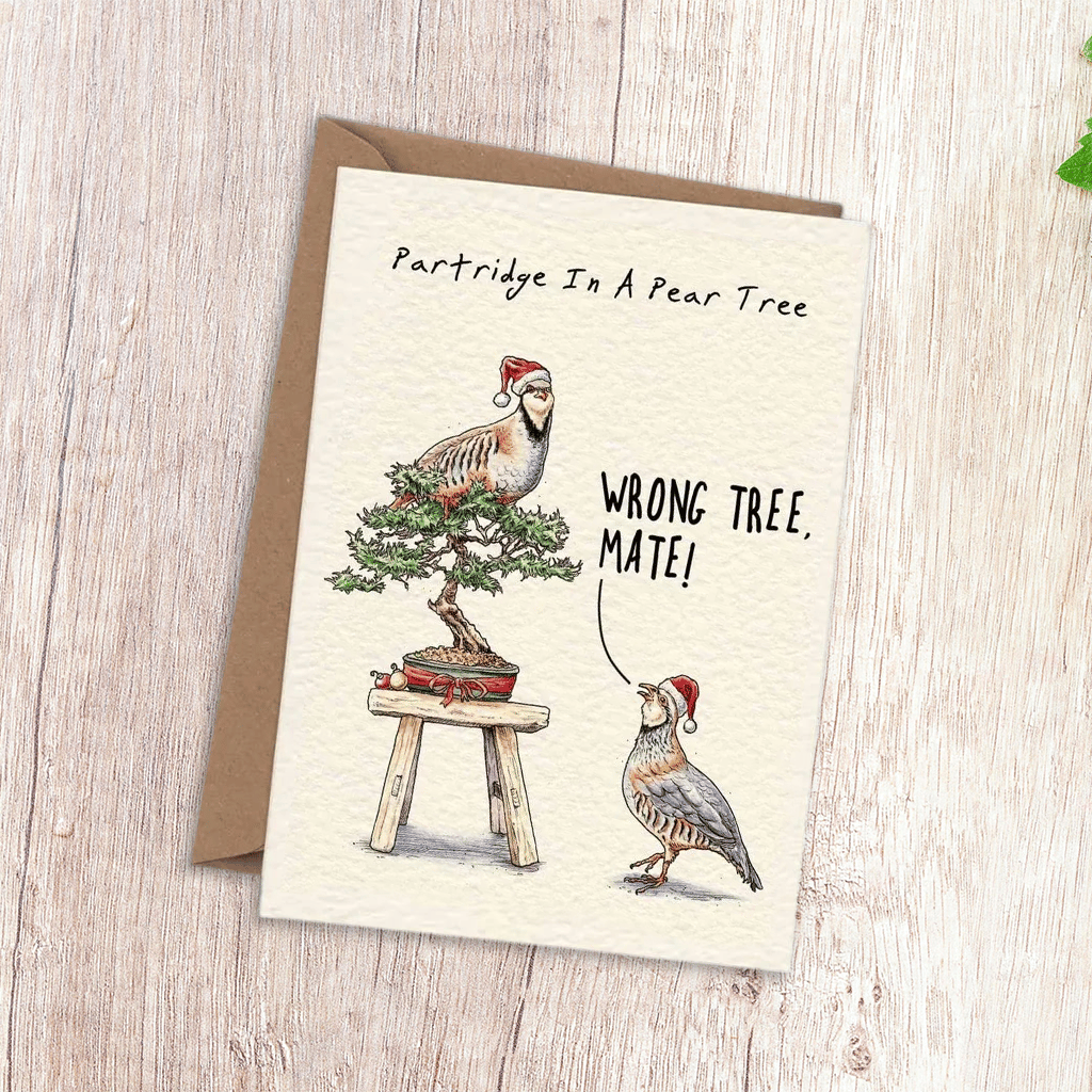 Cilifer®Twelve Days Of Christmas Card Set