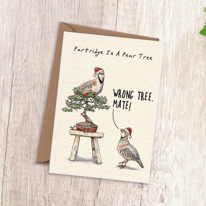 Cilifer®Twelve Days Of Christmas Card Set