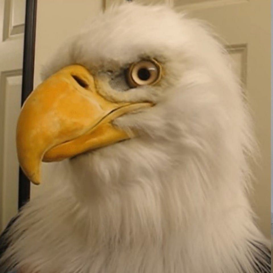 Eagle