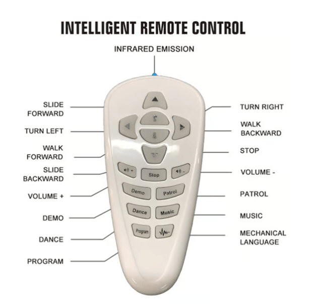 Cilifer®Gesture Sensing Smart Robot