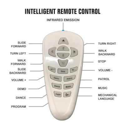 Cilifer®Gesture Sensing Smart Robot