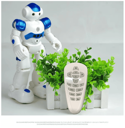 Cilifer®Gesture Sensing Smart Robot