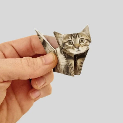 Cilifer®😻✨Easy DIY Paper Cats Kit | Guided Lines & Instructions Included 🎁