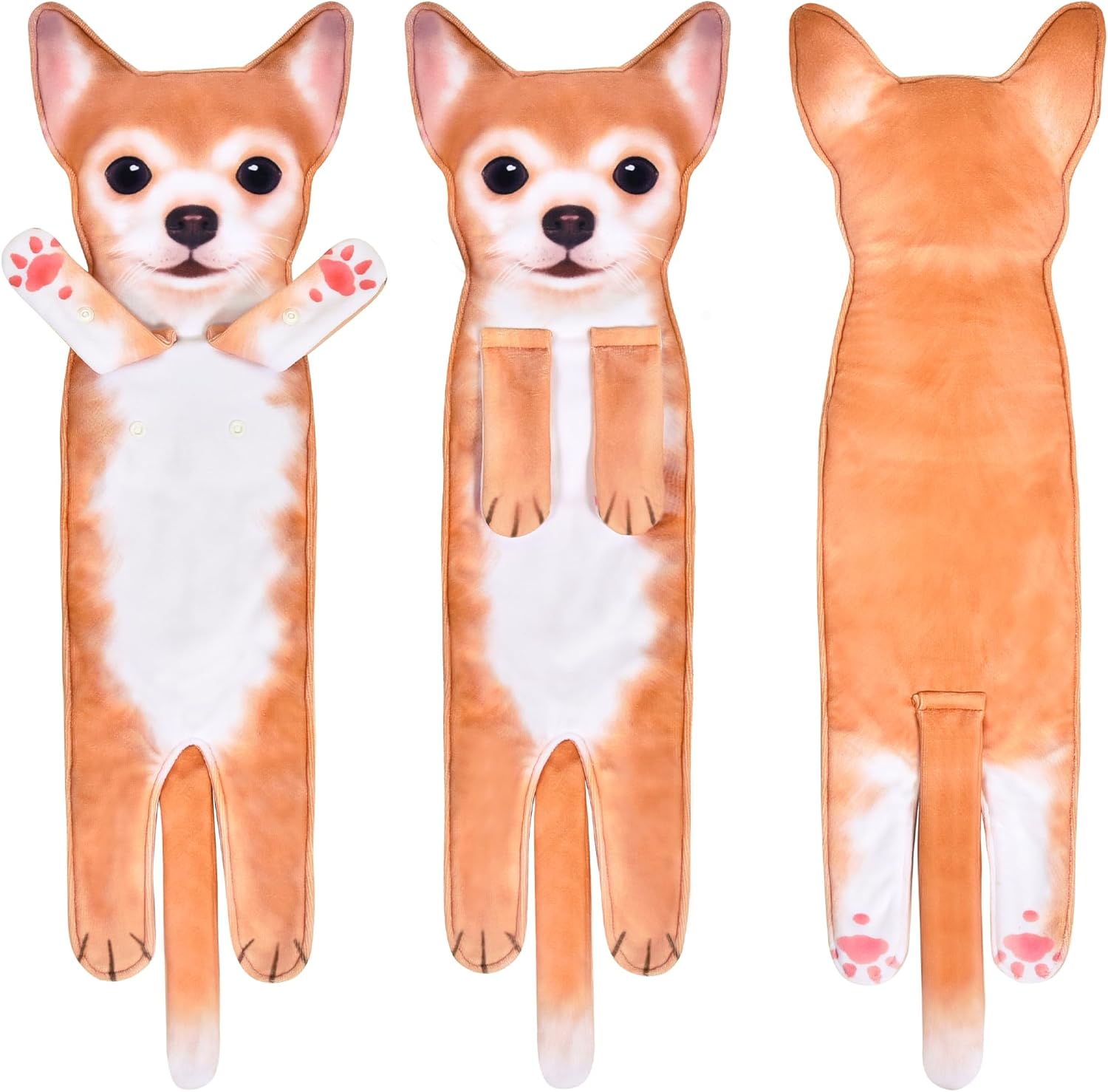 Chihuahua Puppy