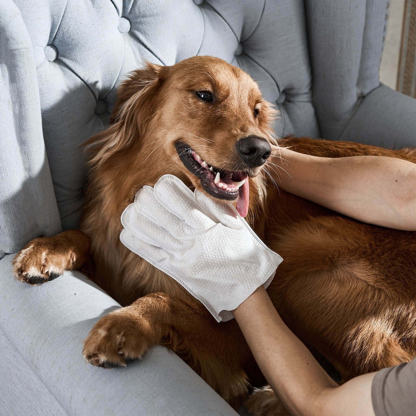 Cilifer®Odor-Removing Pet Grooming Gloves