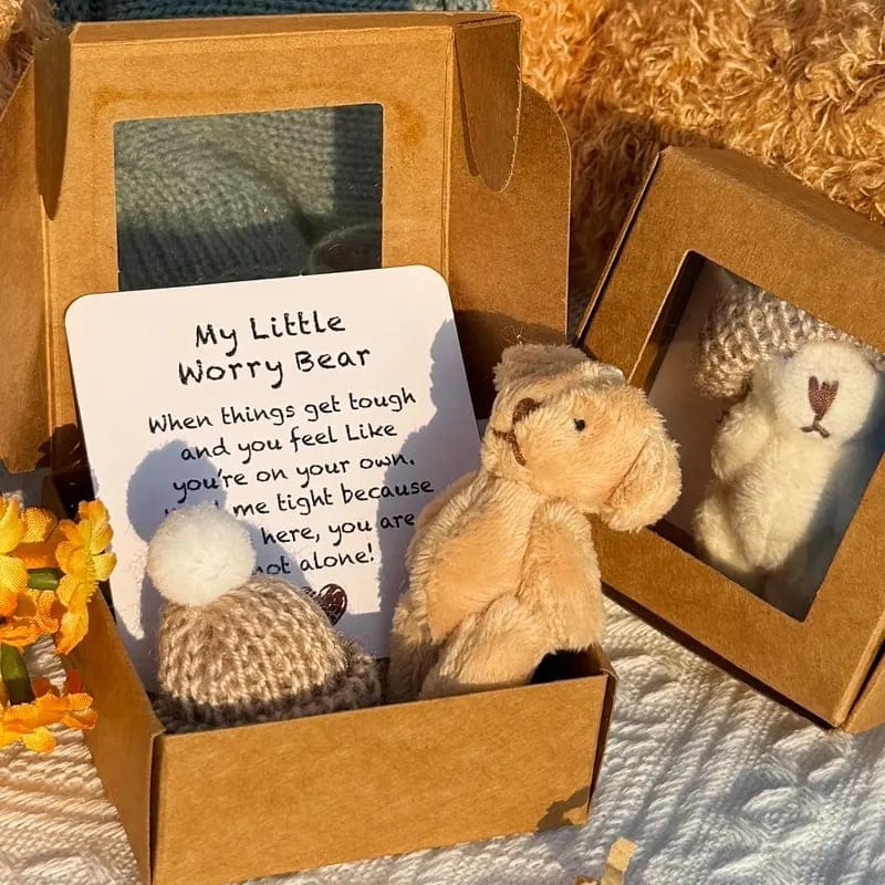 CZTICLE®🎁Handmade Mini Plush Teddy Bear in Box