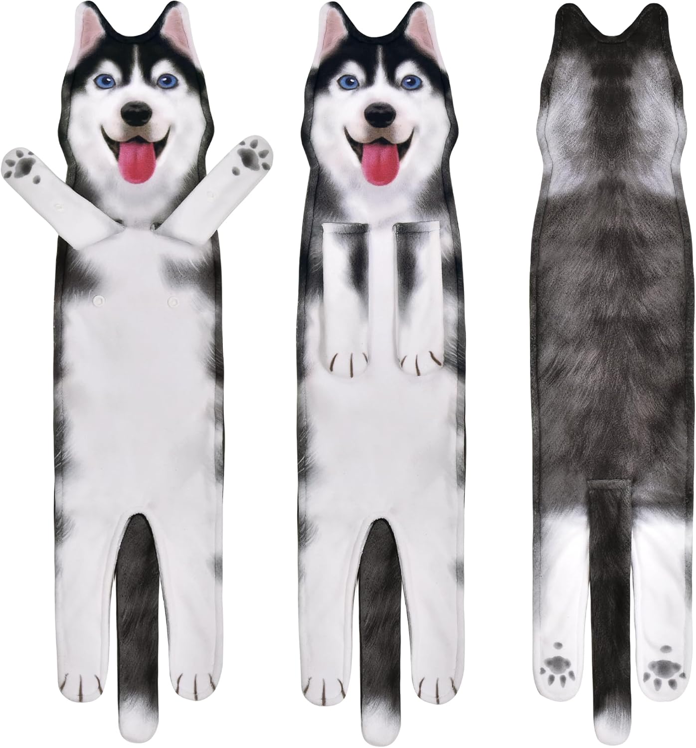 Huskies Puppy