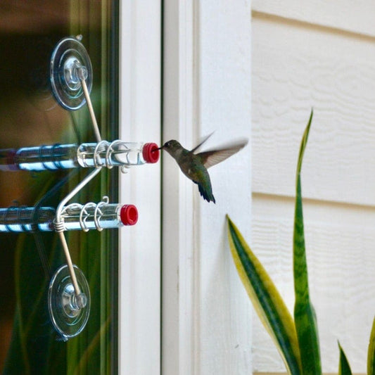 Cilifer®Geometric Window Hummingbird Feeder🐦