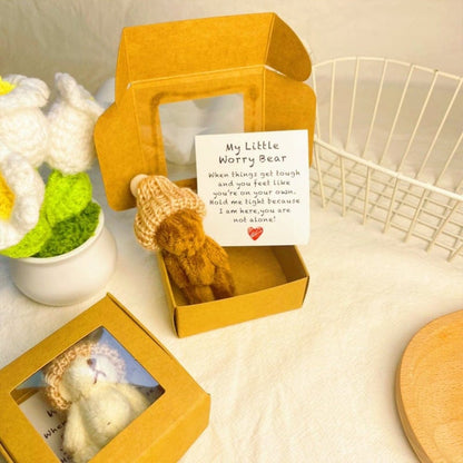 CZTICLE®🎁Handmade Mini Plush Teddy Bear in Box